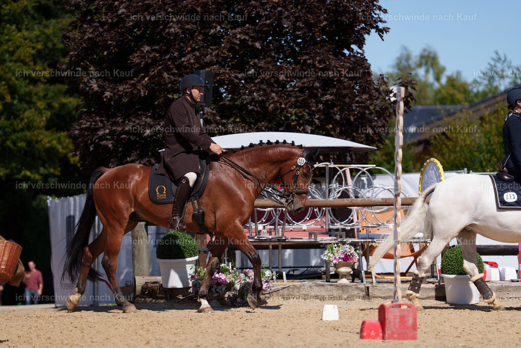 Gernot25_FHC2025-08394 | working equitationturnier fotograf videograf stoibphotography marixx film working equitation deutschland reitsport turnierfotografie eventfotografie equestrian events