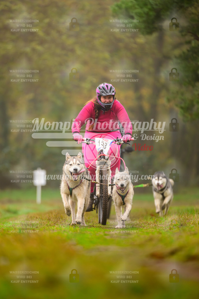 MompixPhotography_Bischwiller2025_Bike-146 | mompixphotography