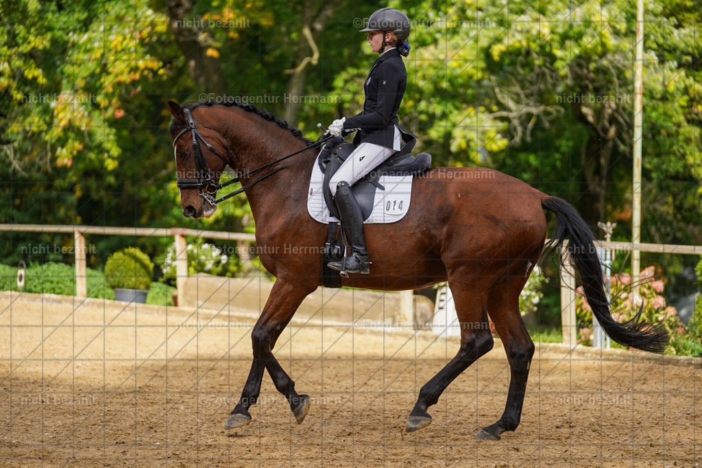 20221007-FAH09941 | Diessen am Ammersee, 2022, Dressur- und Springturnier, Reitsportbilder, Turnierfotografen Bayern, Pferdefotografen, Fotoagentur Herrmann, Turnierbilder