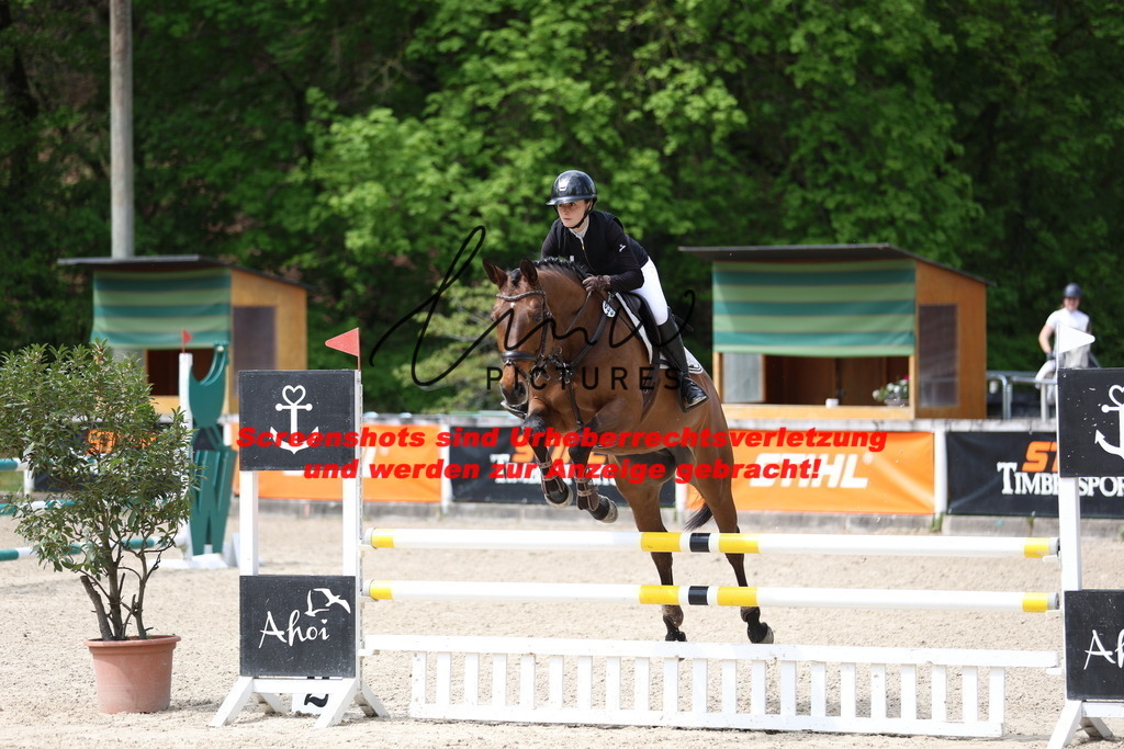 A40A2154 | lmwpictures - Realisiert mit Pictrs.com