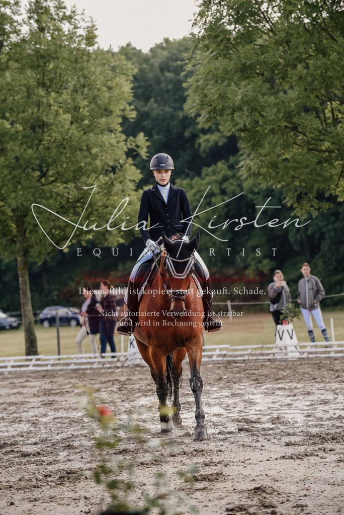 DSC_8154 | Pferde- und Turnierfotografie in Westsachsen. Pferdeportraits, Auftragszeichnungen und intuitive Kunst.