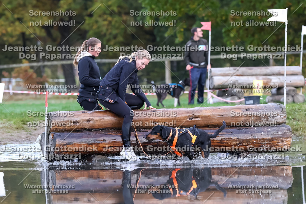 Dog Paparazzi - Strongdog 10-25-6570 | Dog Paparazzi Jeanette Grottendiek Fotografie & Videografie - Realisiert mit Pictrs.com