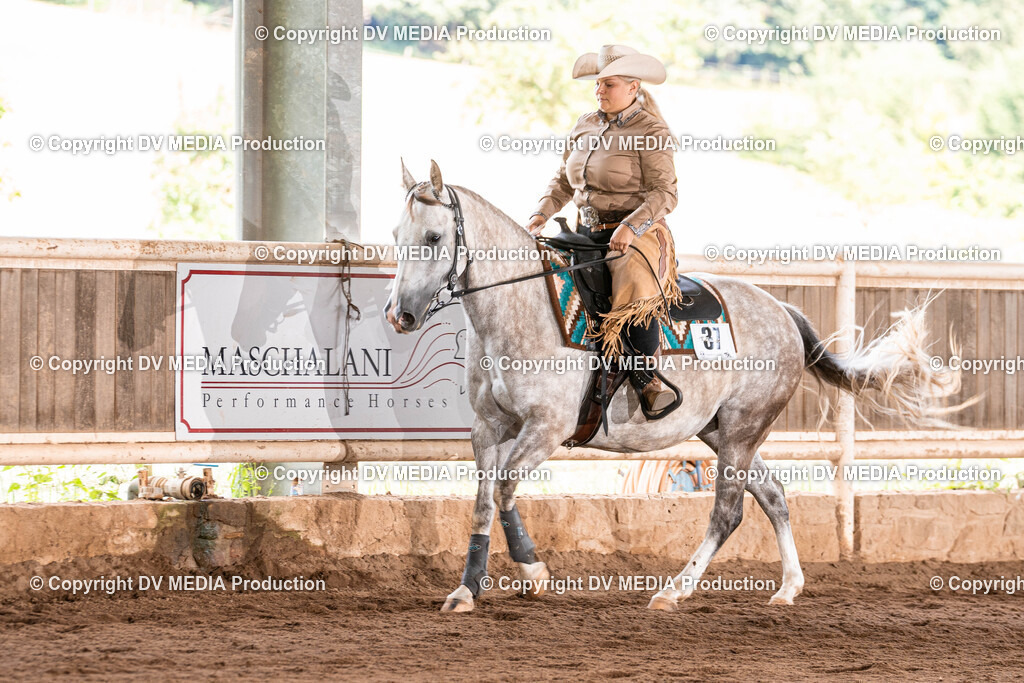 Erbach Tag 3-1136 | dv-media-shop - Realisiert mit Pictrs.com