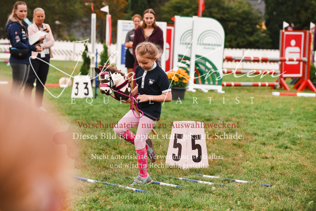 DSC_4519 | Pferde- und Turnierfotografie in Westsachsen. Pferdeportraits, Auftragszeichnungen und intuitive Kunst.