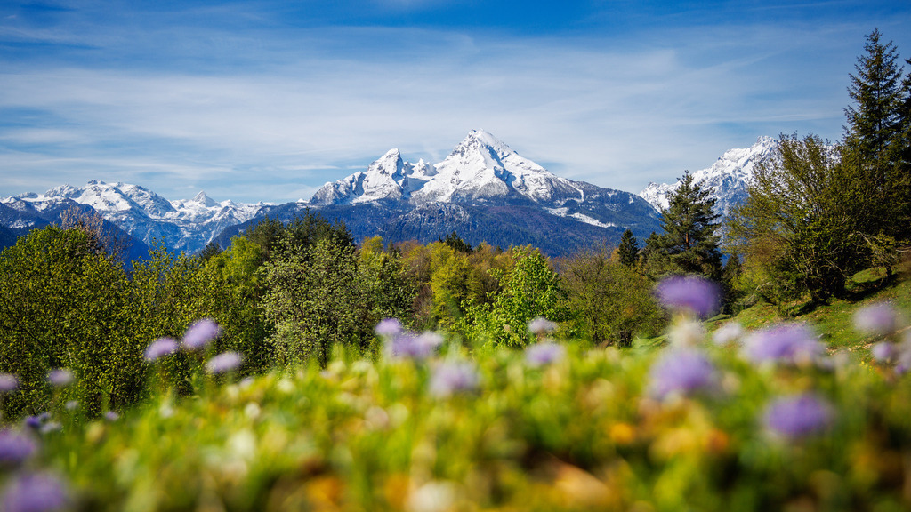 Watzmann 4 | ap-design // andreas plenk - Realisiert mit Pictrs.com