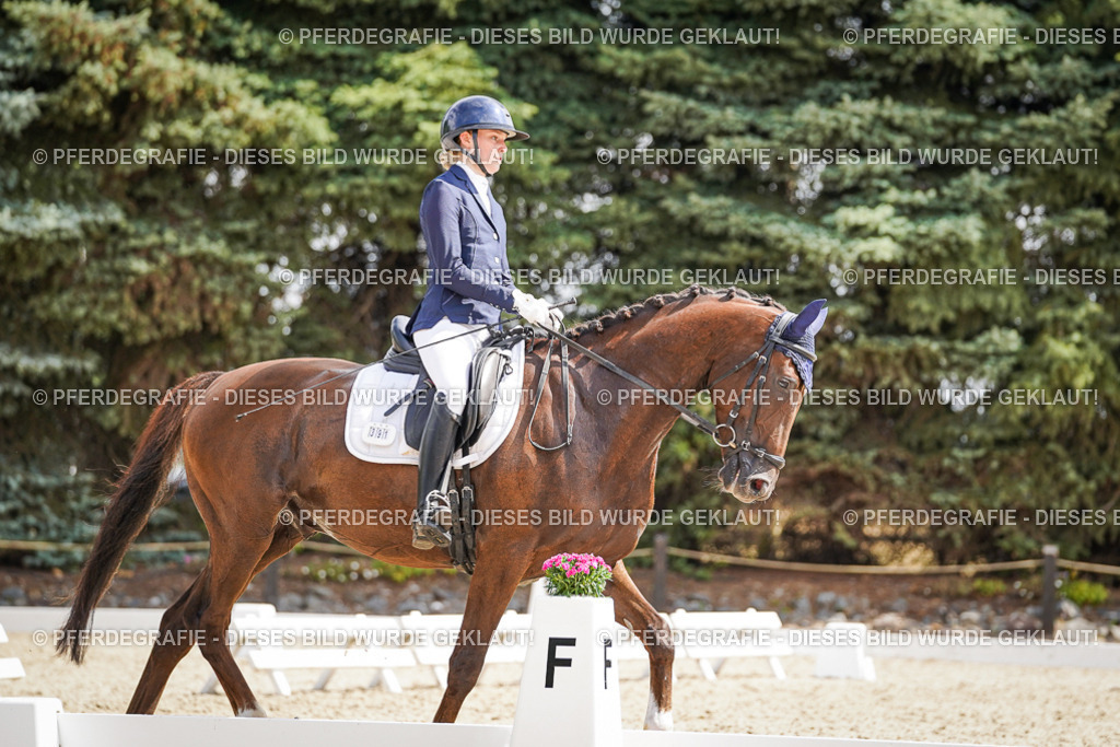 DSC09254 | Pferdegrafie