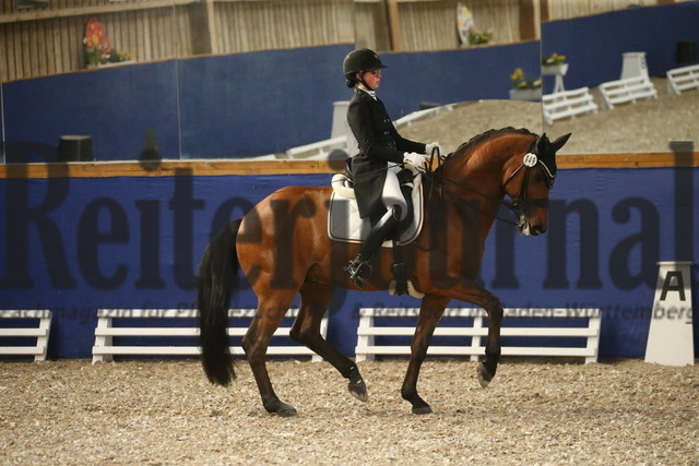 Turnier_Zeutern_2022_Prfg.Nr.02_Kurz-GrandPrix_Ann-Kathrin Lachemann_Fransje 3 (18) | Alle Fotos der Reiterjournal Fotografin Doris Matthaes im Reiterjournal Online-Fotoshop. - Realisiert mit Pictrs.com