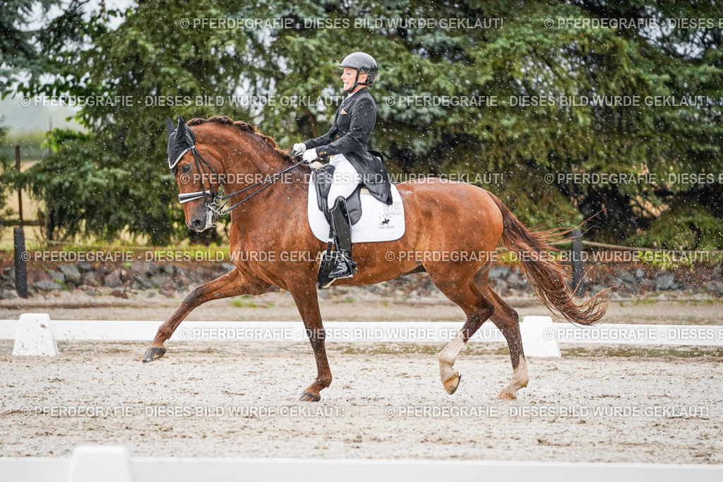 DSC09024 | Pferdegrafie