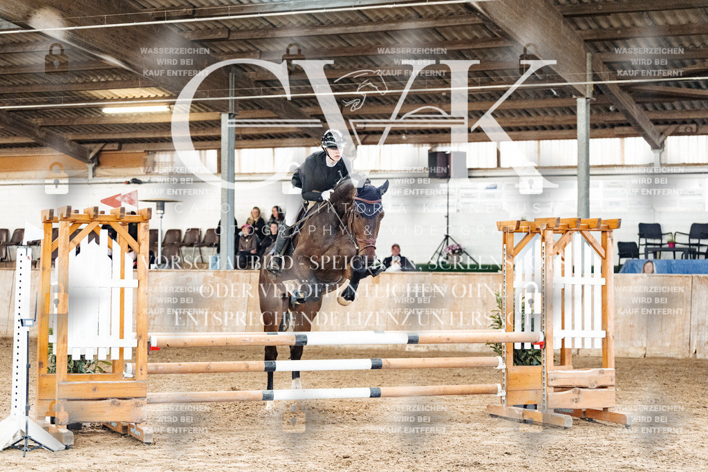 CK904563 | Turnierfotografie Pferdefotografie Trier Rheinland-Pfalz Pferdesport Reitsport Tierfotografie Sportfotografie Pferdevideo Pferdevideografie Equestrianvideography equestrianphotography  - Realisiert mit Pictrs.com