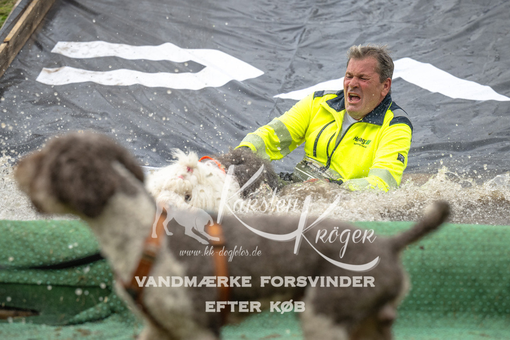 1605_ZZ92190 | kk-dogfotos