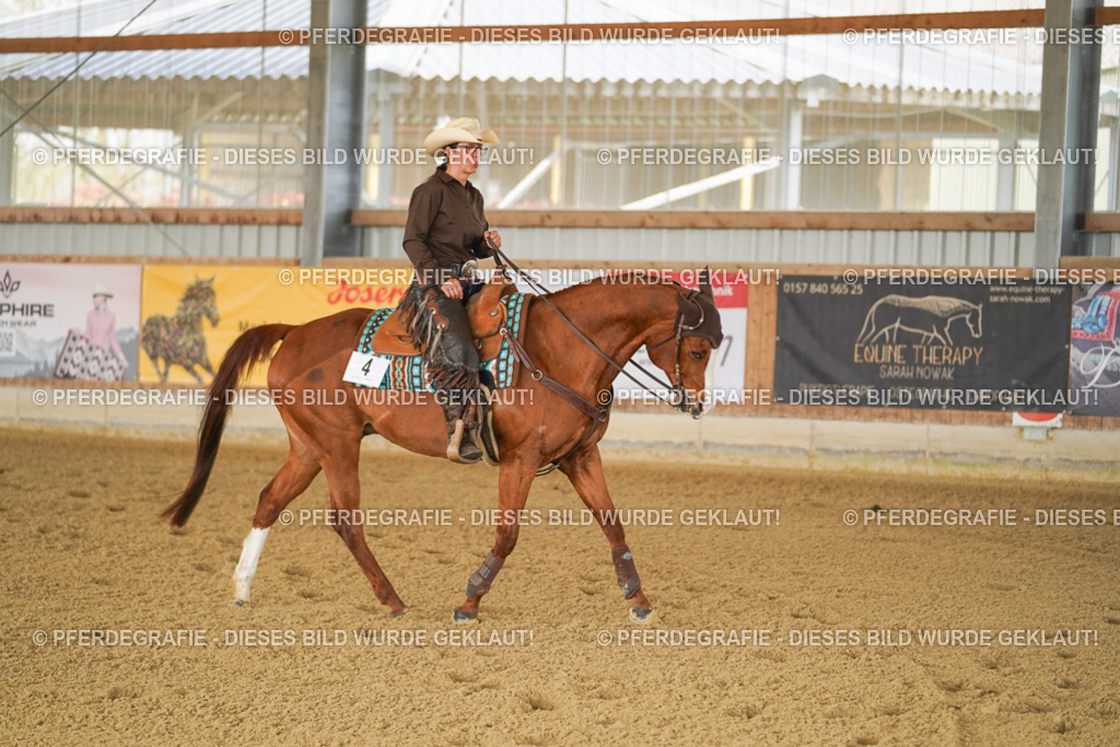 DSC02636 | Pferdegrafie