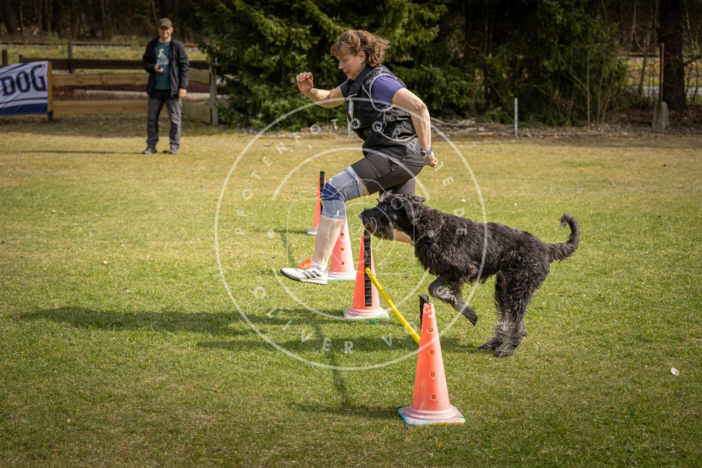 Pfotenfotografie_DV3A9248 | Hundefotografie, Tierfotograf, Pfotenfotografie, Fotoshooting Hund, Hunde Portrait, Hundesport, Hundeportraits, Heideshooting, Hunde, Sportfotograf, Hundefotograf, Turnierhundsport, THS,  - Realisiert mit Pictrs.com