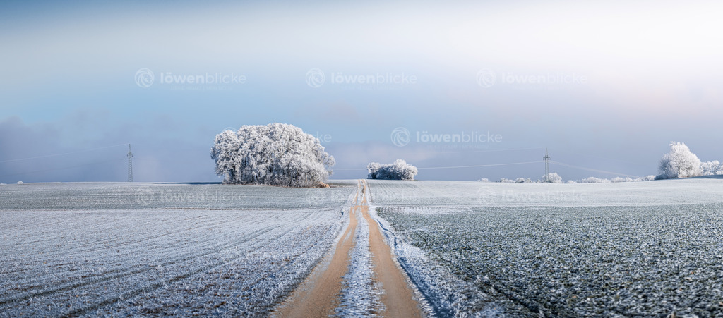 LOEWENBLICKE_DANIEL-SORKALLA_0353 | löwenblicke | shop