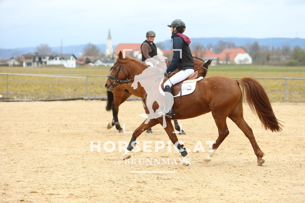 DL2Q1675 | Willkommen bei Brunnmayr - Design & Fotografie – Ihrem Spezialisten für Reitturniere und Pferdeveranstaltungen in Oberösterreich, Salzburg und Bayern! Seit über 17 Jahren sind wir leidenschaftlich dabei.
