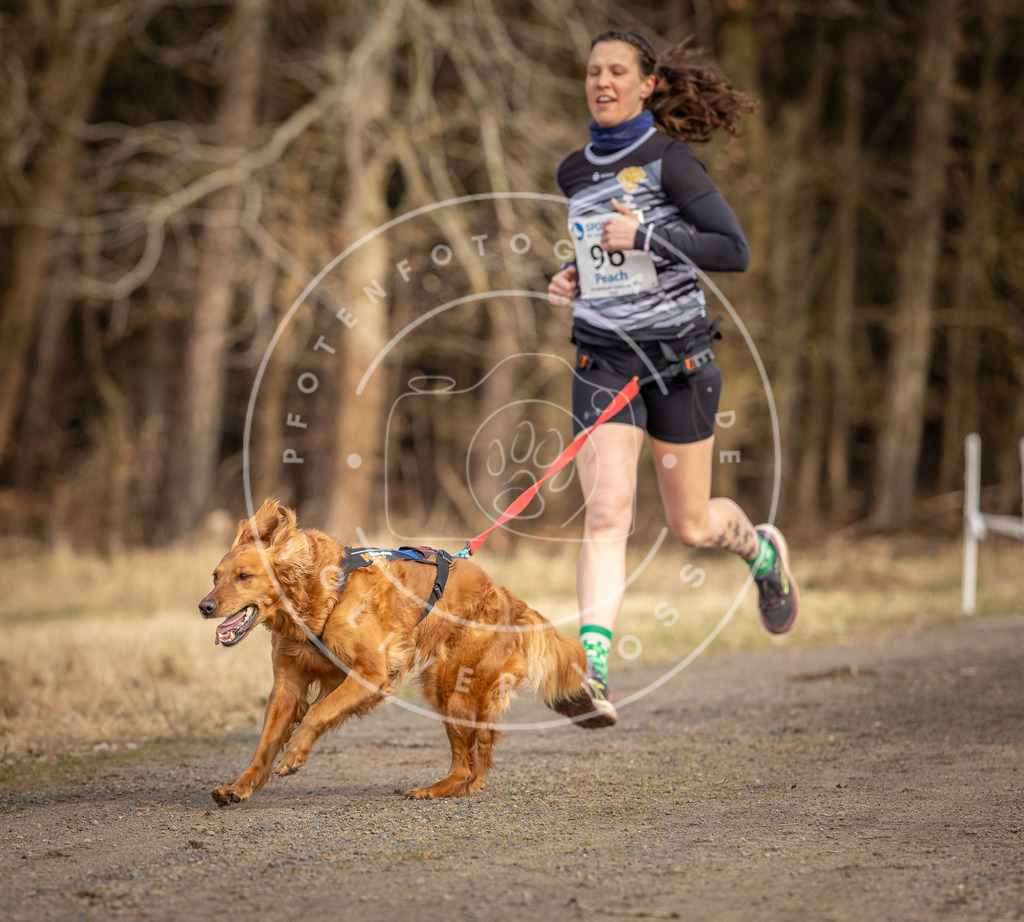 DV3A4094 | Hundefotografie, Tierfotograf, Pfotenfotografie, Fotoshooting Hund, Hunde Portrait, Hundesport, Hundeportraits, Heideshooting, Hunde, Sportfotograf, Hundefotograf, Turnierhundsport, THS,  - Realisiert mit Pictrs.com