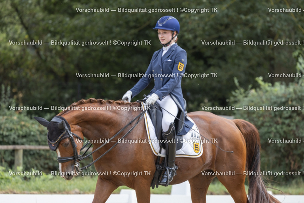 _D5A3912 | Emotionale Pferde- & People-Fotografie rund um Heidelberg, Leimen & Umgebung. Natürliche Fotos von Pferd, Mensch & Familie. Jetzt Termin sichern!