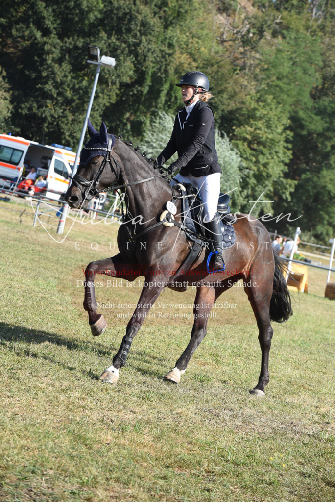 DSC_5399 | Pferde- und Turnierfotografie in Westsachsen. Pferdeportraits, Auftragszeichnungen und intuitive Kunst.