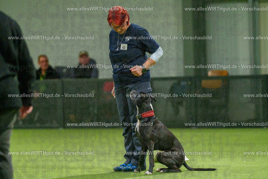 7R507376 | Professionelle Tierfotografie in Mönchengladbach von Daniel Wirth (allesWIRTHgut). Liebevolle & natürliche Bilder von Hunden & Katzen für unvergessliche Erinnerungen.