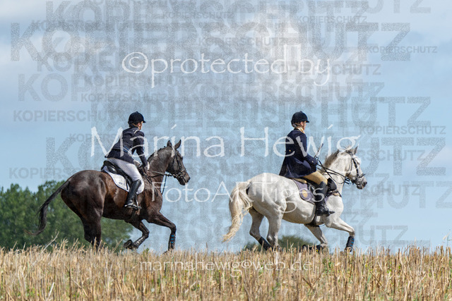 Jagd Wittenberg_MarinaHewig_MCH6484 | Fotografie, FotoArt, PferdesportArt, Pferdesportfotografie, Landschaftsfotografie, Reisefotografie, Reise, Pferde - Realisiert mit Pictrs.com