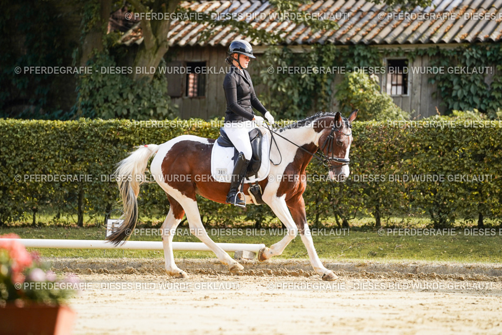 DSC05688 | Pferdegrafie