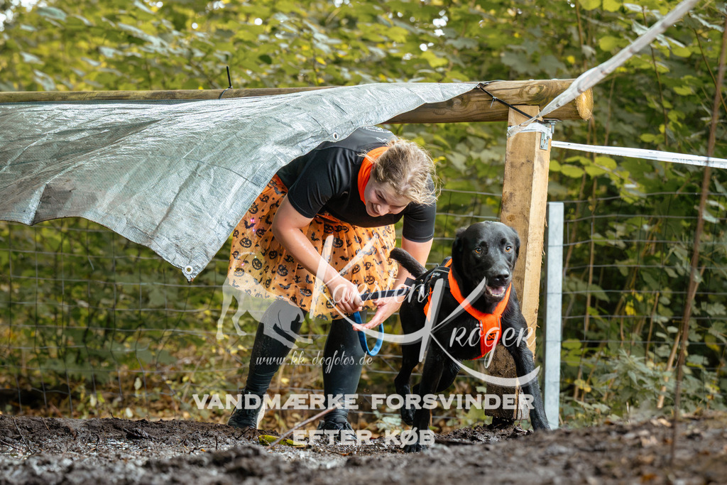 1432DZ6_2826Z6 | kk-dogfotos