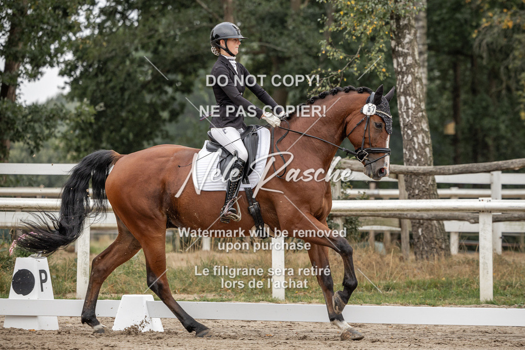nelerasche_DrL_Ede_60 | nelerasche