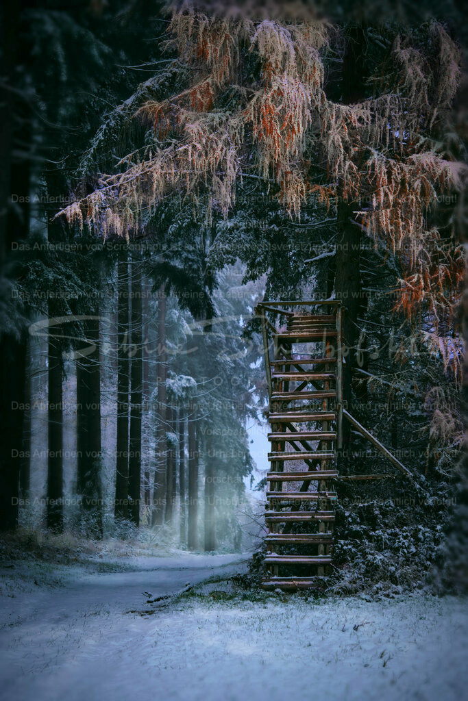 Wandbild "Der erste Schnee mit Hochsitz" | People- und Tierfotografie, Imageaufnahmen, Veranstaltungsfotografie und Wandbilder aus der Natur ★ Made in Germany ✔️ Druck + Downloads ✔️ Naturfotografie in Top Qualität ★ schneller Versand, weltweite Lieferung! - Realisiert mit Pictrs.com