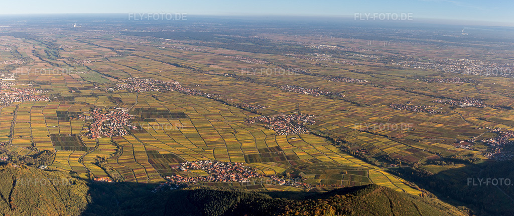 Luftbild: Weinbergs- Landschaft der Pfälzer Weinstraße bei Weyher in der Pfalz in Weyher in der Pfalz im Bundesland Rheinland-Pfalz in Deutschland. Foto: IMG_104049-Pano.jpg vom 14.10.2017 durch Werner Riehm/FLY-FOTO.deAuflösung des Originals: 8213 x 3455 px