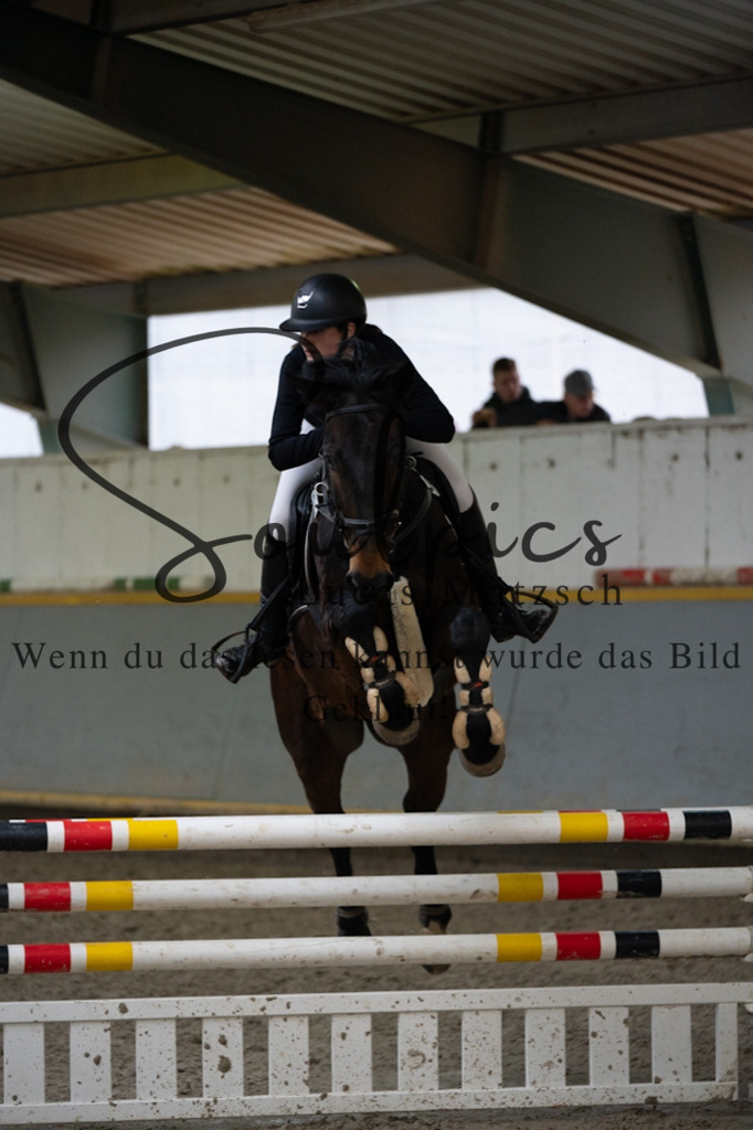 A7V08784 | Pferdefotograf