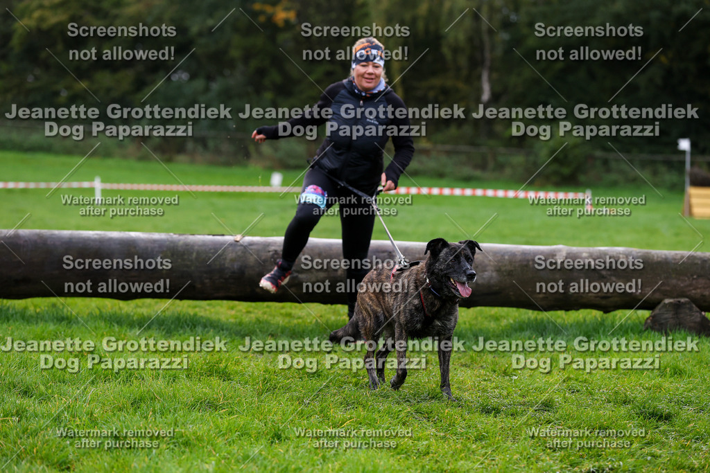 Dog Paparazzi -  SD1026-1235 | Dog Paparazzi Jeanette Grottendiek Fotografie & Videografie - Realisiert mit Pictrs.com