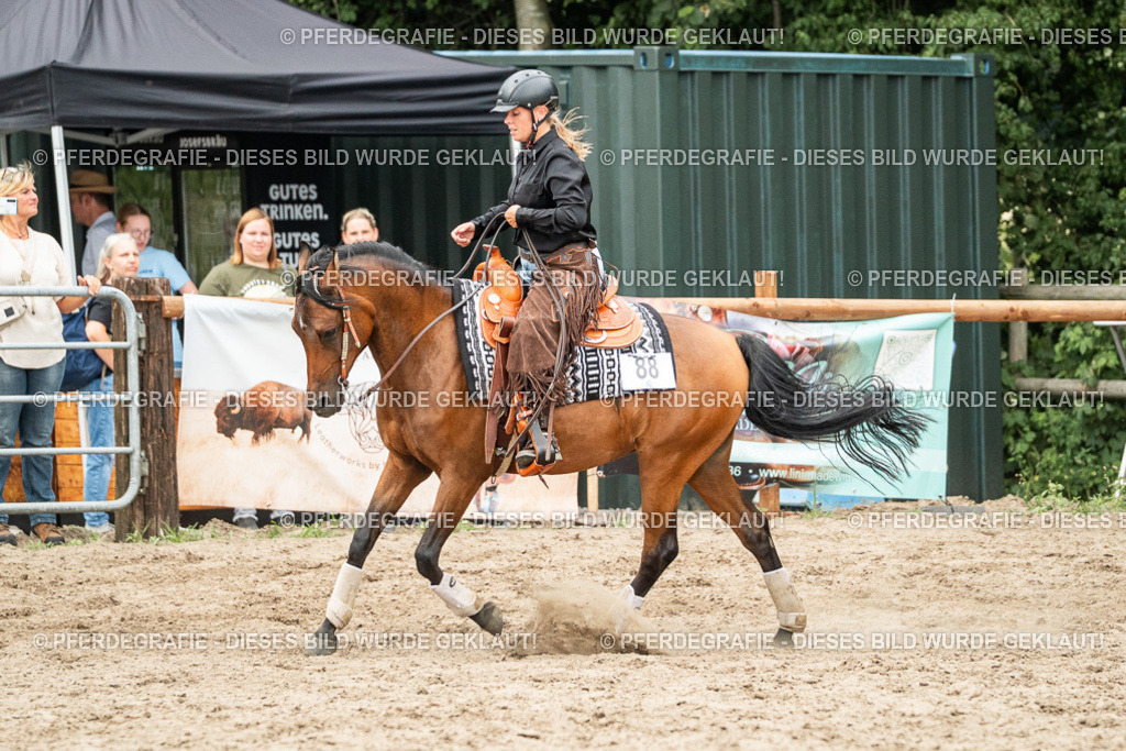 DSC04301 | Pferdegrafie