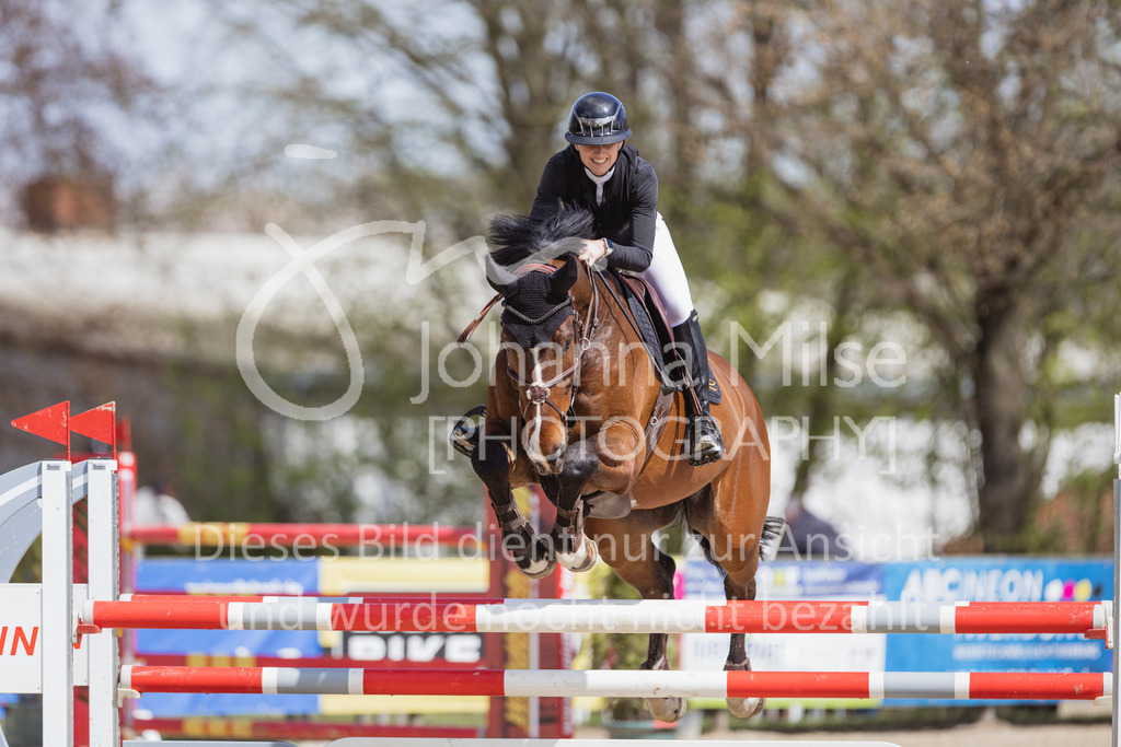 230501_SpengeW_M2St-133 | Deine schönsten Turniermomente als professionelle Fotos! Entdecke hochwertige Pferdesport-Fotografie im Online-Shop. Jetzt Fotos finden & bestellen!