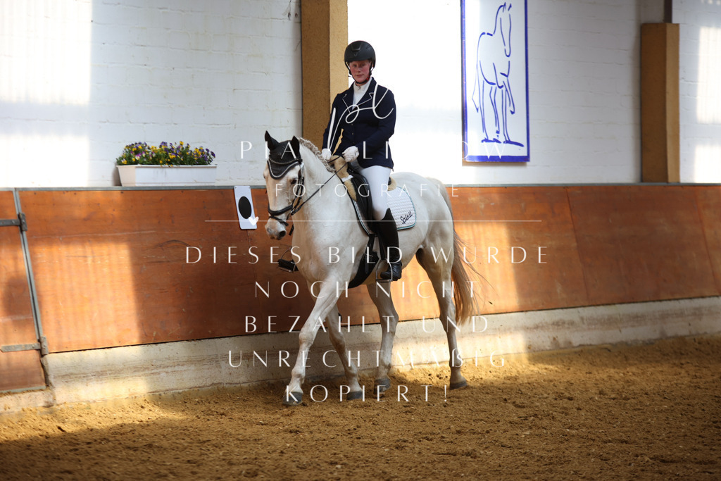 IMGT5139 | pl-fotografie