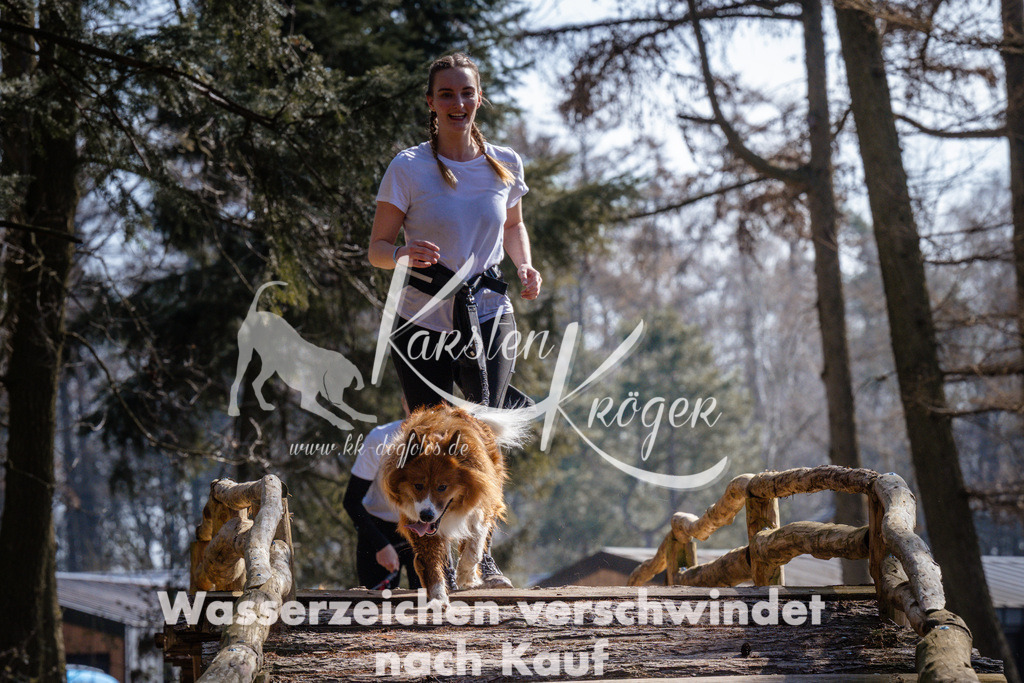 1353_ZZ96436 | kk-dogfotos
