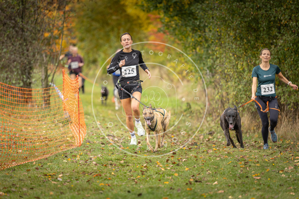 Pfotenfotografie_DV3A4718 | Hundefotografie, Tierfotograf, Pfotenfotografie, Fotoshooting Hund, Hunde Portrait, Hundesport, Hundeportraits, Heideshooting, Hunde, Sportfotograf, Hundefotograf, Turnierhundsport, THS,  - Realisiert mit Pictrs.com