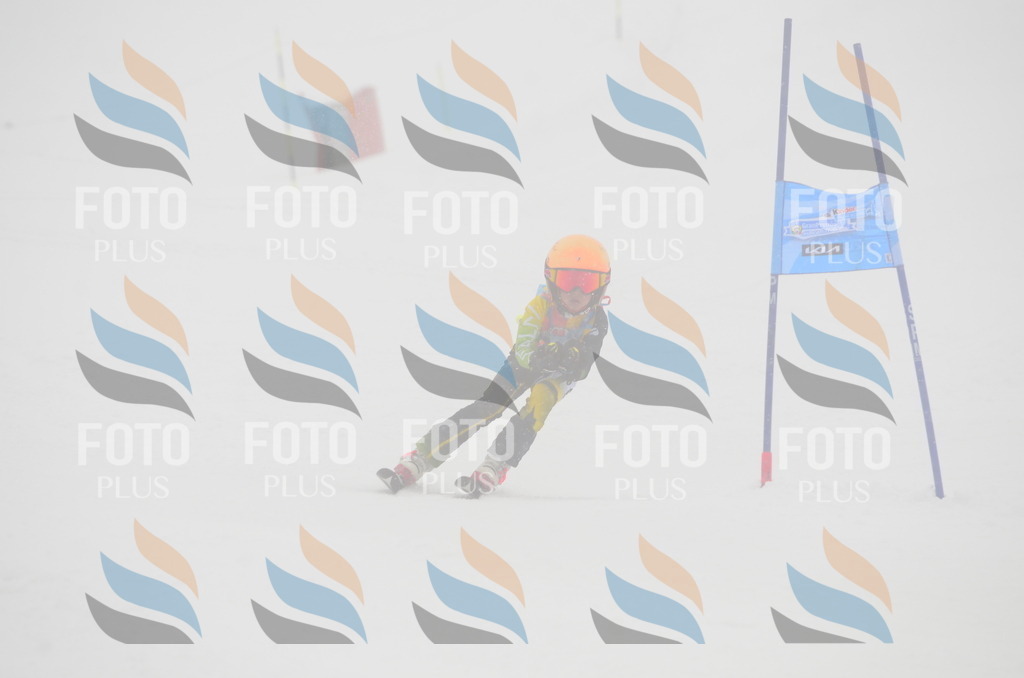 C0887 | holidayphoto