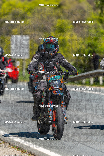 MSFotoServiceXXX450 | MSFotoService - Realisiert mit Pictrs.com
