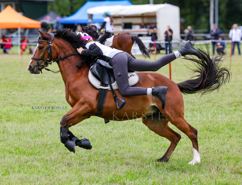 1B3A1665 | Reitsport Reiten