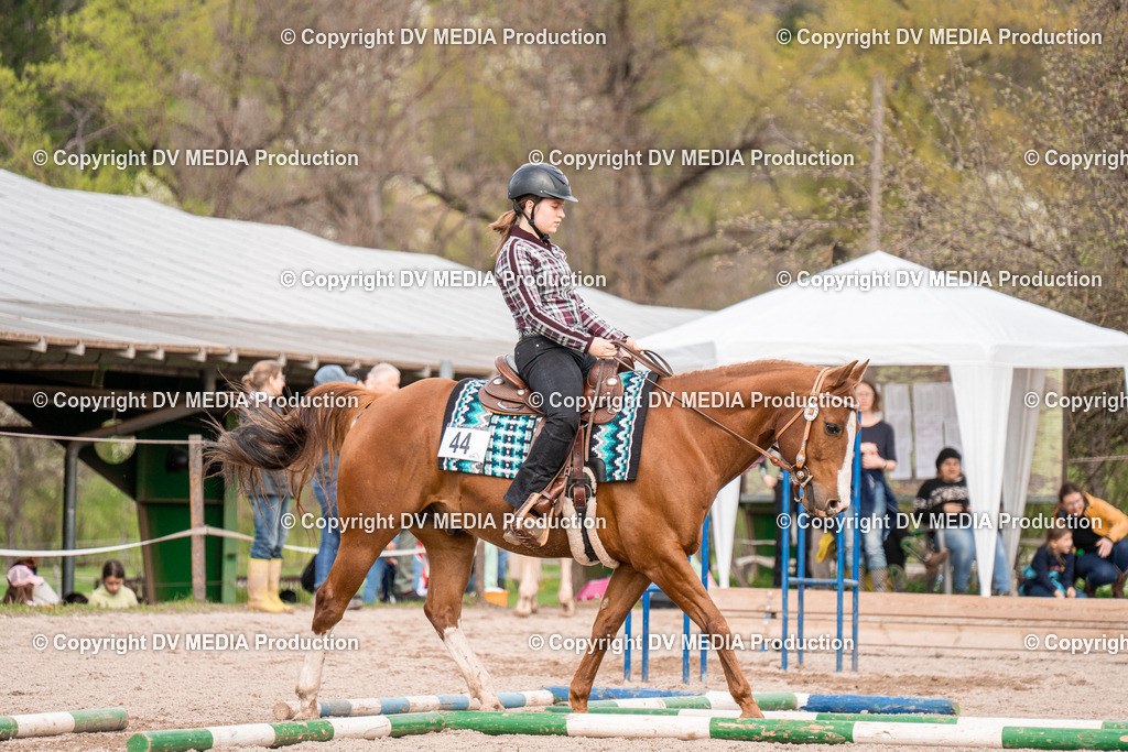 BAL02577 | dv-media-shop - Realisiert mit Pictrs.com