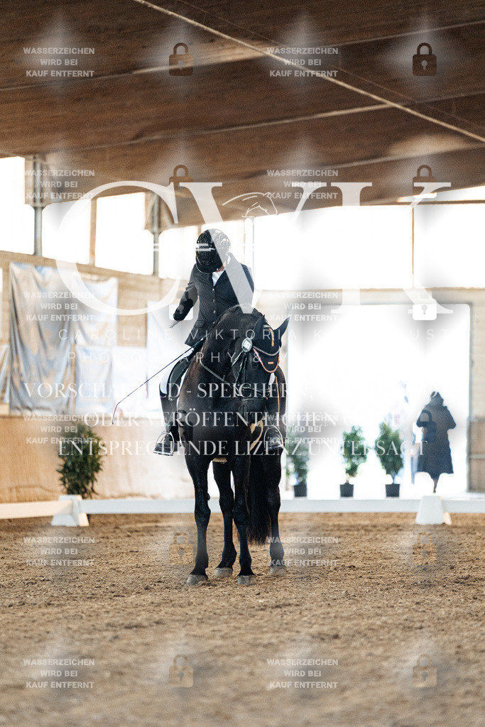 CK906461 | Turnierfotografie Pferdefotografie Trier Rheinland-Pfalz Pferdesport Reitsport Tierfotografie Sportfotografie Pferdevideo Pferdevideografie Equestrianvideography equestrianphotography  - Realized with Pictrs.com