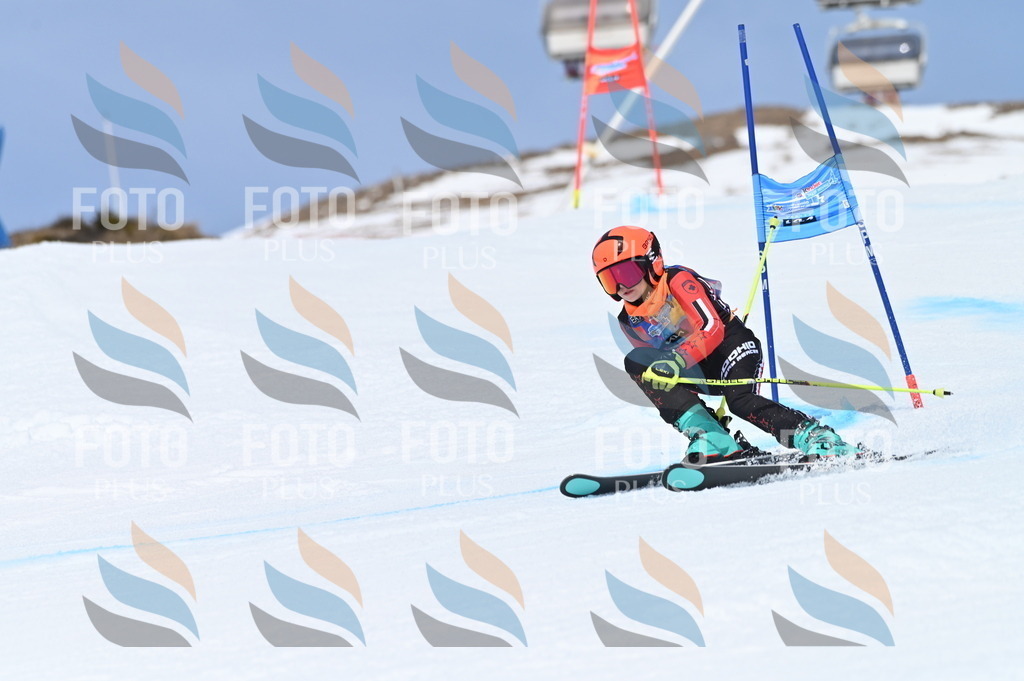 BGV_2152 | holidayphoto