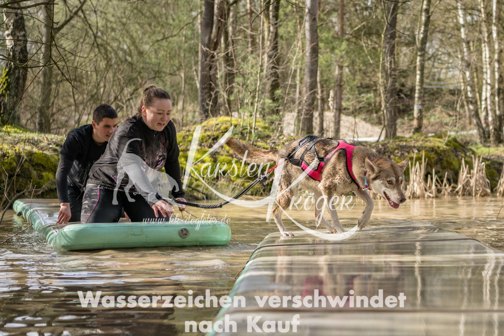 1004_ZZ92427 | kk-dogfotos