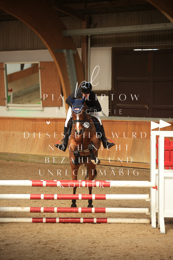 IMGT0468 | pl-fotografie