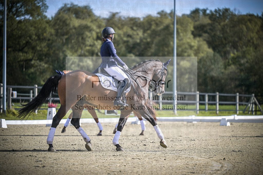 DOS_0221 | Entdecke hochwertige Reitturnierfotos von Foto Oger. Professionell, emotional und authentisch – jetzt Lieblingsmomente im Shop bestellen.Deutschlandweite Turnierfotografie. - Realisiert mit Pictrs.com