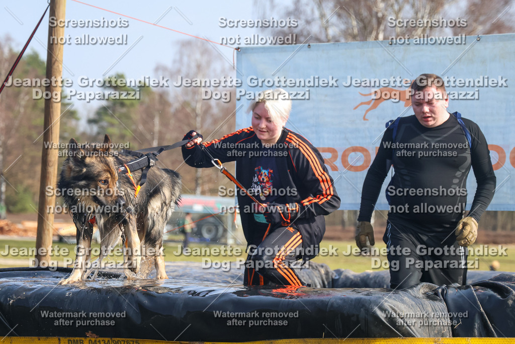 Dog Paparazzi - Strongdog North Mrz26-1808 | Dog Paparazzi Jeanette Grottendiek Fotografie & Videografie - Realisiert mit Pictrs.com