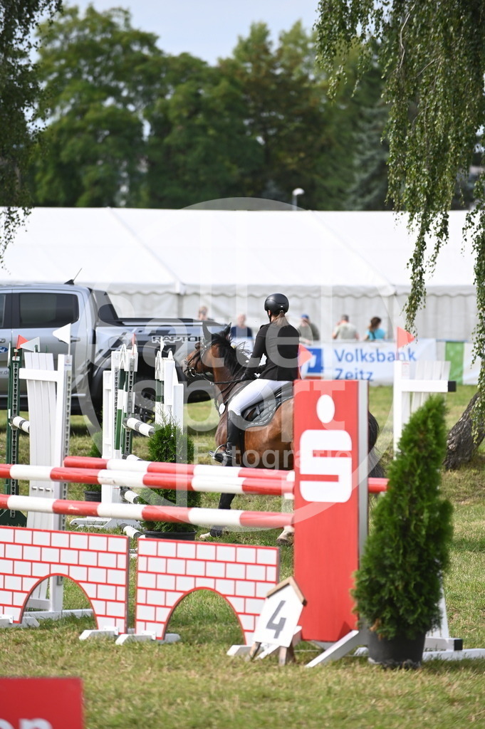 DSC_3002 | sattelsport - Realisiert mit Pictrs.com