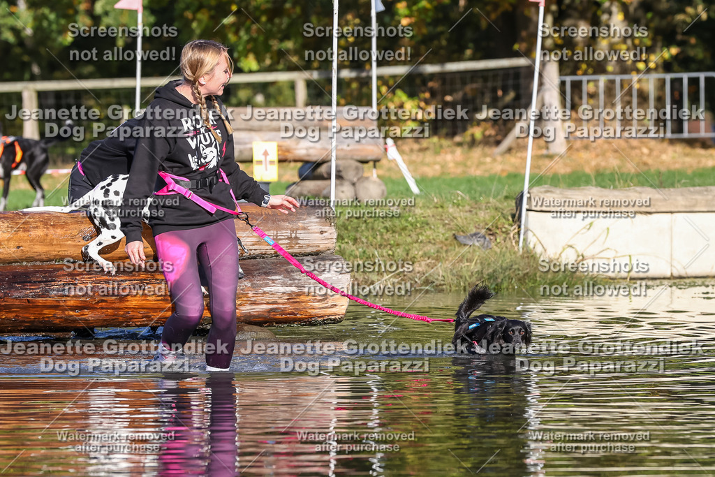 Dog Paparazzi - Strongdog 10-25-8758 | Dog Paparazzi Jeanette Grottendiek Fotografie & Videografie - Realisiert mit Pictrs.com