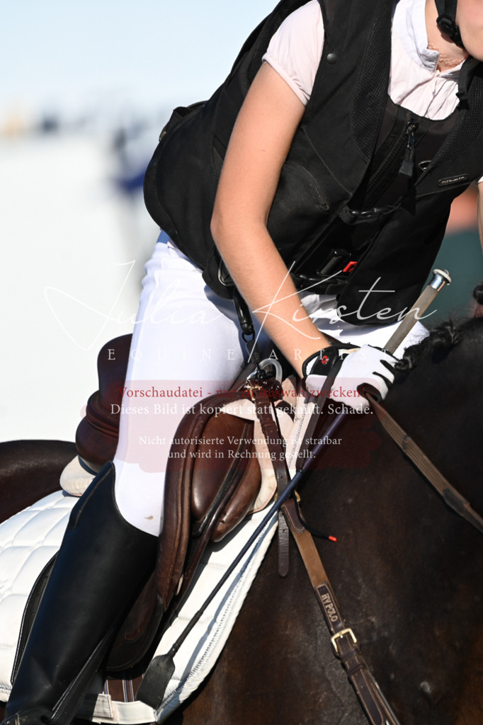 DSC_4688 | Pferde- und Turnierfotografie in Westsachsen. Pferdeportraits, Auftragszeichnungen und intuitive Kunst.