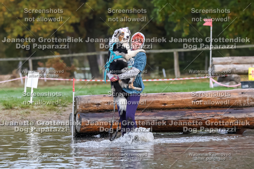 Dog Paparazzi - Strongdog 10-25-6437 | Dog Paparazzi Jeanette Grottendiek Fotografie & Videografie - Realisiert mit Pictrs.com