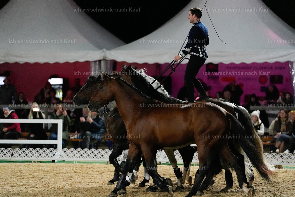 FHClassics-398 | working equitationturnier fotograf videograf stoibphotography marixx film working equitation deutschland reitsport turnierfotografie eventfotografie equestrian events
